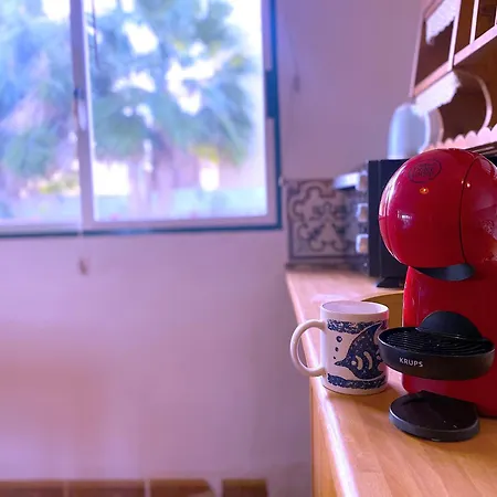 Tropicalidays Oceanview アパート *